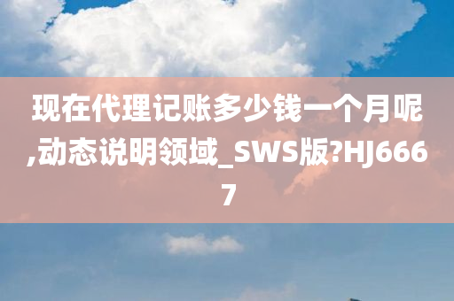 现在代理记账多少钱一个月呢,动态说明领域_SWS版?HJ6667