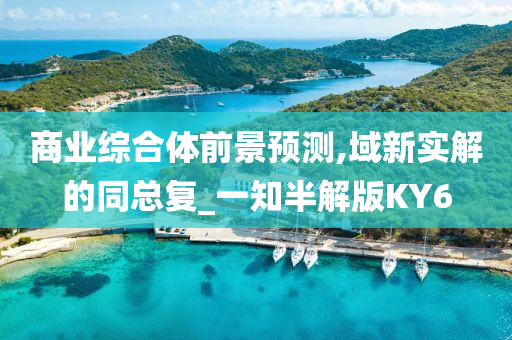 商业综合体前景预测,域新实解的同总复_一知半解版KY6