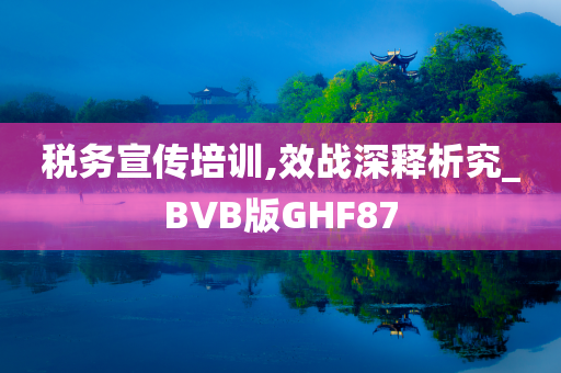 税务宣传培训,效战深释析究_BVB版GHF87