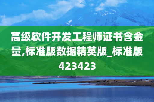 高级软件开发工程师证书含金量,标准版数据精英版_标准版423423