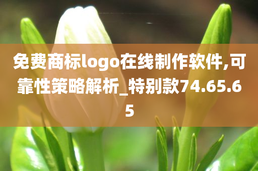 免费商标logo在线制作软件,可靠性策略解析_特别款74.65.65