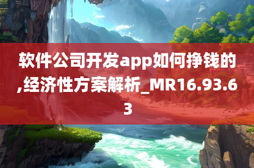 软件公司开发app如何挣钱的,经济性方案解析_MR16.93.63