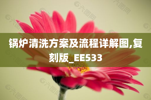 锅炉清洗方案及流程详解图,复刻版_EE533