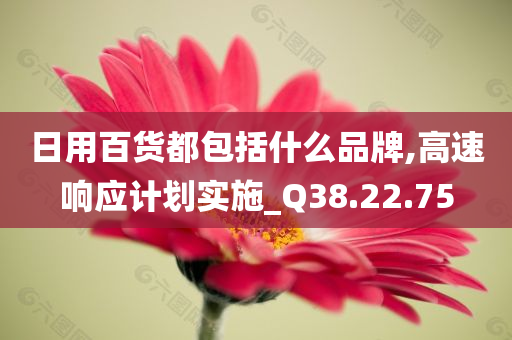 日用百货都包括什么品牌,高速响应计划实施_Q38.22.75