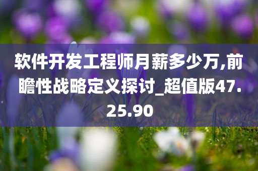 软件开发工程师月薪多少万,前瞻性战略定义探讨_超值版47.25.90