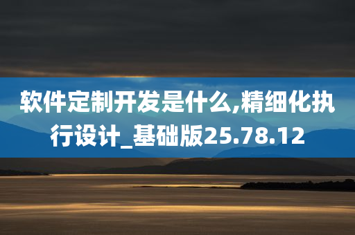 软件定制开发是什么,精细化执行设计_基础版25.78.12