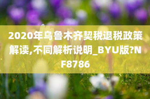 2020年乌鲁木齐契税退税政策解读,不同解析说明_BYU版?NF8786