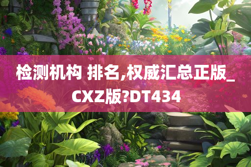 检测机构 排名,权威汇总正版_CXZ版?DT434