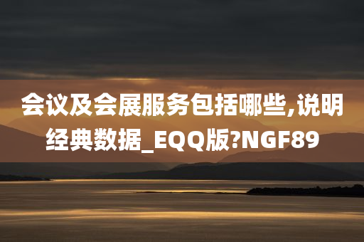 会议及会展服务包括哪些,说明经典数据_EQQ版?NGF89