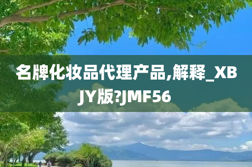 名牌化妆品代理产品,解释_XBJY版?JMF56