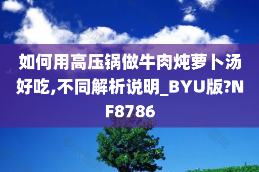 如何用高压锅做牛肉炖萝卜汤好吃,不同解析说明_BYU版?NF8786