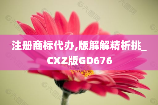 注册商标代办,版解解精析挑_CXZ版GD676