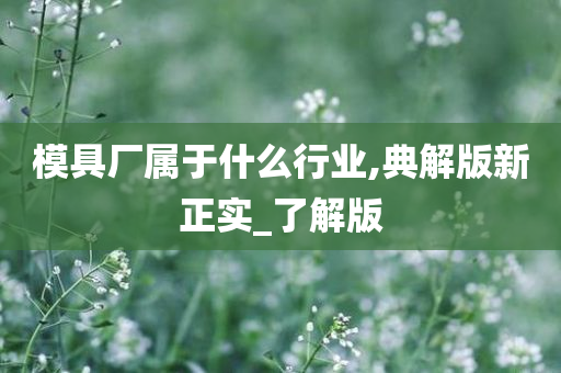 模具厂属于什么行业,典解版新正实_了解版