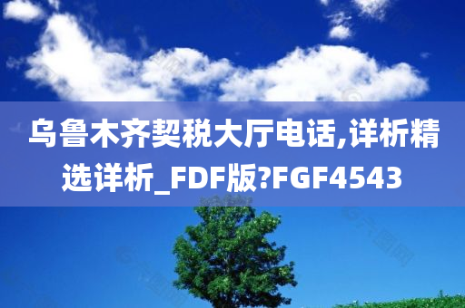 乌鲁木齐契税大厅电话,详析精选详析_FDF版?FGF4543