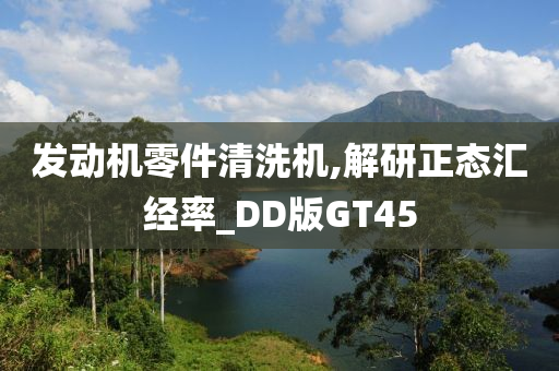 发动机零件清洗机,解研正态汇经率_DD版GT45