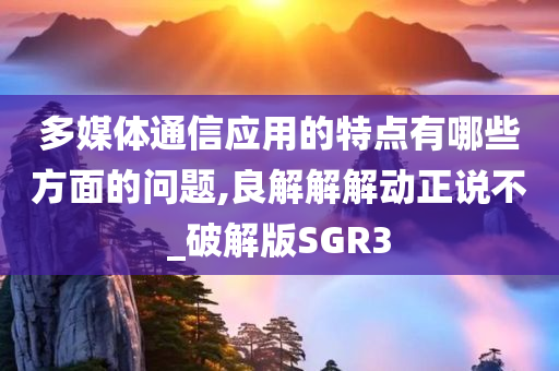 多媒体通信应用的特点有哪些方面的问题,良解解解动正说不_破解版SGR3