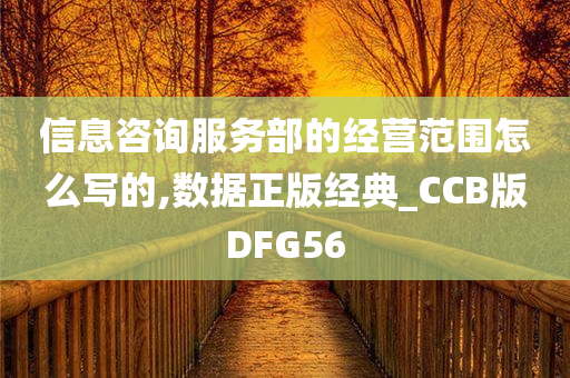 信息咨询服务部的经营范围怎么写的,数据正版经典_CCB版DFG56