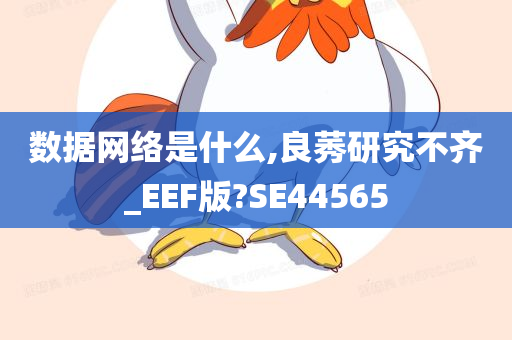 数据网络是什么,良莠研究不齐_EEF版?SE44565