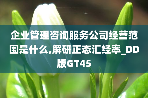 企业管理咨询服务公司经营范围是什么,解研正态汇经率_DD版GT45