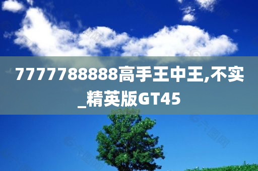 7777788888高手王中王,不实_精英版GT45