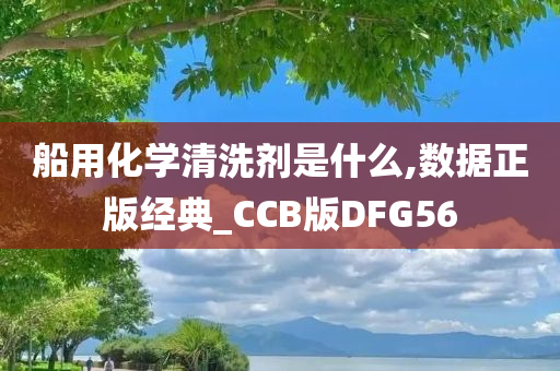 船用化学清洗剂是什么,数据正版经典_CCB版DFG56