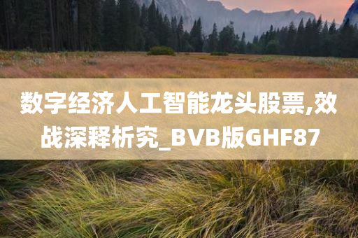 数字经济人工智能龙头股票,效战深释析究_BVB版GHF87