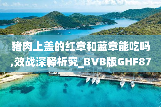 猪肉上盖的红章和蓝章能吃吗,效战深释析究_BVB版GHF87