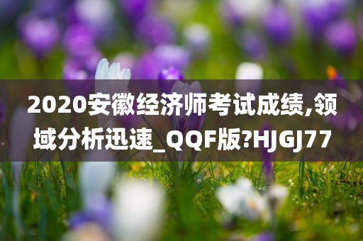 2020安徽经济师考试成绩,领域分析迅速_QQF版?HJGJ77