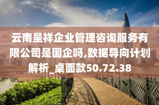 云南呈祥企业管理咨询服务有限公司是国企吗,数据导向计划解析_桌面款50.72.38