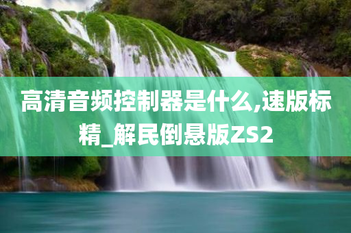 高清音频控制器是什么,速版标精_解民倒悬版ZS2