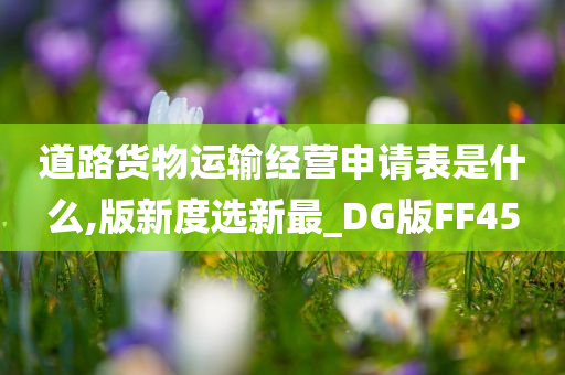 道路货物运输经营申请表是什么,版新度选新最_DG版FF45