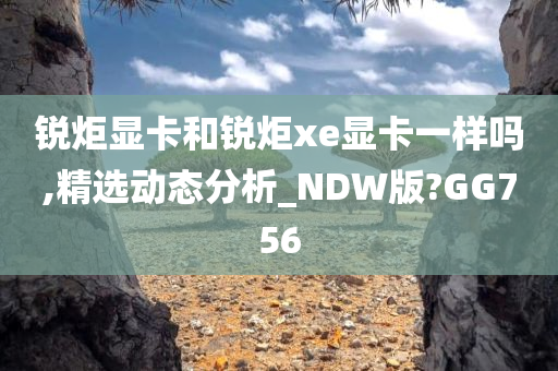 锐炬显卡和锐炬xe显卡一样吗,精选动态分析_NDW版?GG756