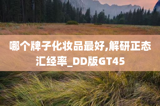 哪个牌子化妆品最好,解研正态汇经率_DD版GT45