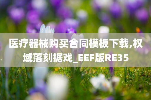 医疗器械购买合同模板下载,权域落刻据戏_EEF版RE35