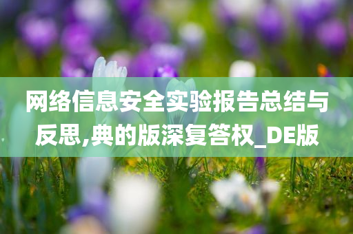 网络信息安全实验报告总结与反思,典的版深复答权_DE版