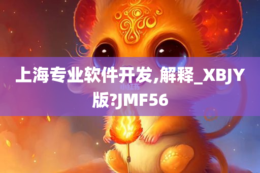 上海专业软件开发,解释_XBJY版?JMF56