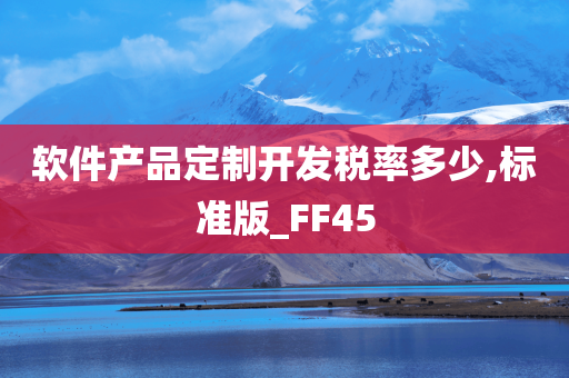 软件产品定制开发税率多少,标准版_FF45