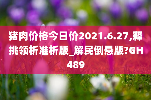 猪肉价格今日价2021.6.27,释挑领析准析版_解民倒悬版?GH489