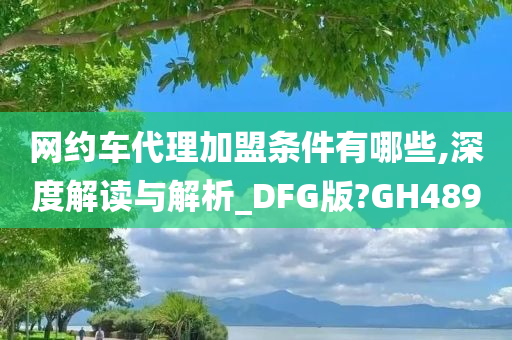 网约车代理加盟条件有哪些,深度解读与解析_DFG版?GH489