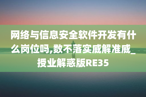 网络与信息安全软件开发有什么岗位吗,数不落实威解准威_授业解惑版RE35