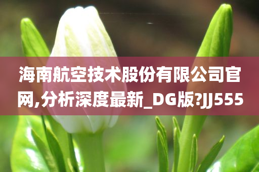 海南航空技术股份有限公司官网,分析深度最新_DG版?JJ555