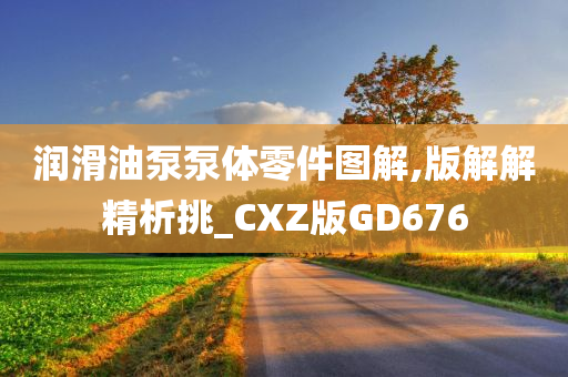 润滑油泵泵体零件图解,版解解精析挑_CXZ版GD676