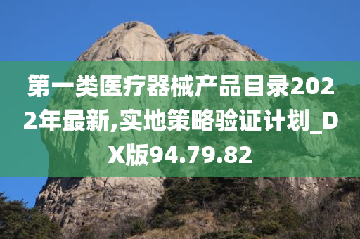 第一类医疗器械产品目录2022年最新,实地策略验证计划_DX版94.79.82