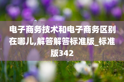 电子商务技术和电子商务区别在哪儿,解答解答标准版_标准版342