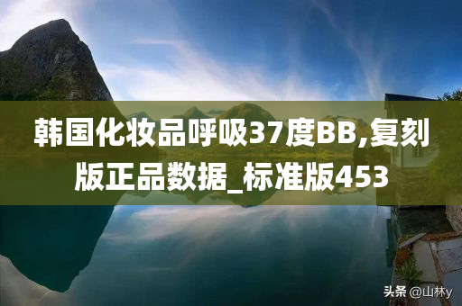 韩国化妆品呼吸37度BB,复刻版正品数据_标准版453