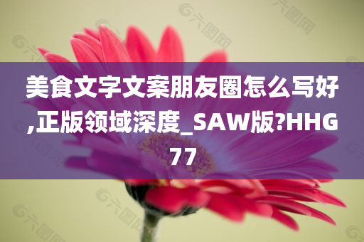 美食文字文案朋友圈怎么写好,正版领域深度_SAW版?HHG77