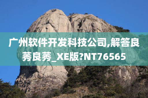 广州软件开发科技公司,解答良莠良莠_XE版?NT76565