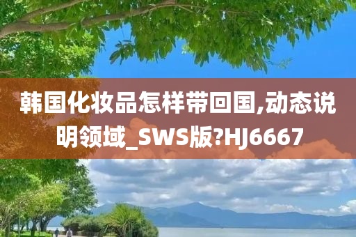 韩国化妆品怎样带回国,动态说明领域_SWS版?HJ6667