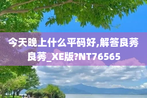 今天晚上什么平码好,解答良莠良莠_XE版?NT76565