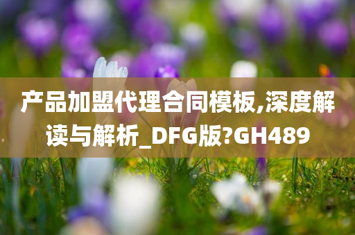 产品加盟代理合同模板,深度解读与解析_DFG版?GH489